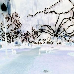 Meet your Posher, Norman